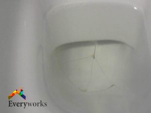 When Do You Need To Replace Your Toilet Bowl? 3 toilet-bowl-crack-toilet-bowl-leaks-everyworks-plumber-singapore