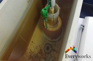 How Do You Know If You Have A Toilet Flush Problem? 4 sediments-toilet-tank-toilet-flush-system-replace-everyworks-plumber-singapore