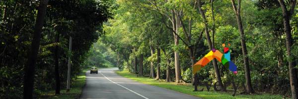 everyworks-aircon-servicing-singapore-lim-chu-kang