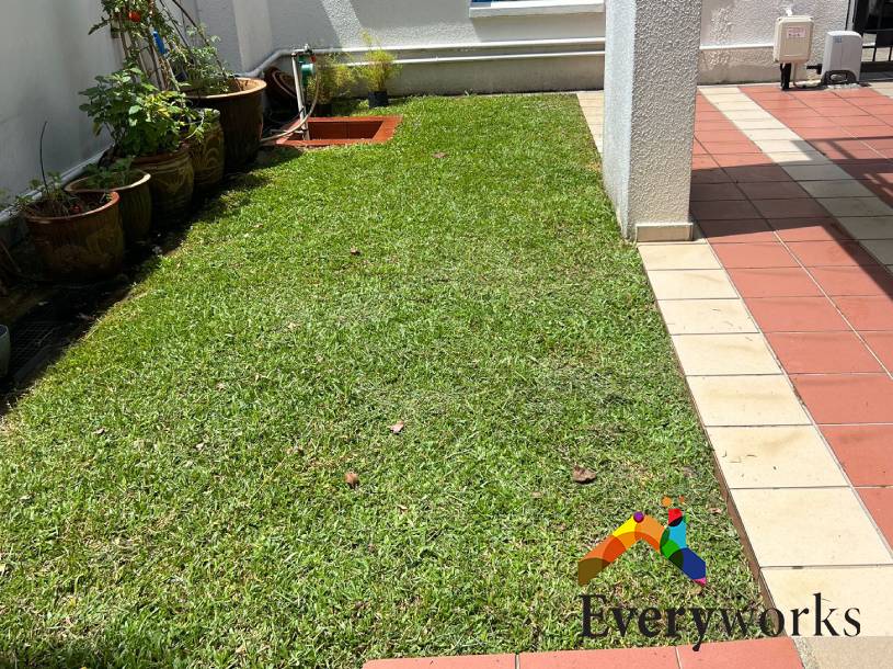 Landscape Maintenance 13 landscape-maintenance-everyworks-singapore-landed-orchard-1