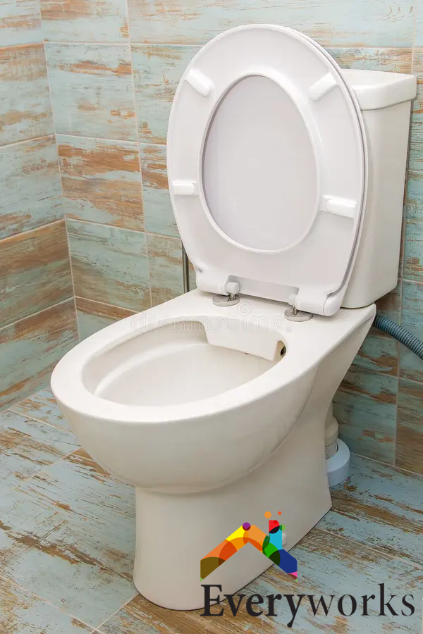factors-to-consider-when-installing-or-replacing-toilet-seat-cover-replacement-installation-service-everyworks-singapore