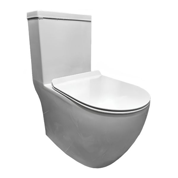 Baron W898 One Piece Toilet Bowl 1 baron-w898-product-image-everyworks-renovation-maintenance-singapore